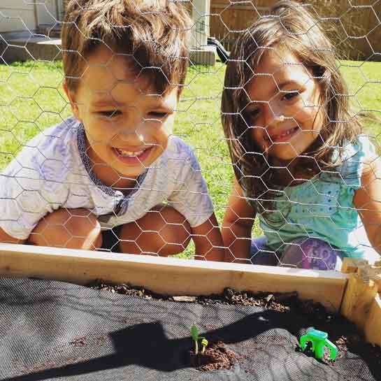 Grow Your Child’s Green-Thumb With This New Mini Garden – No Experience Needed