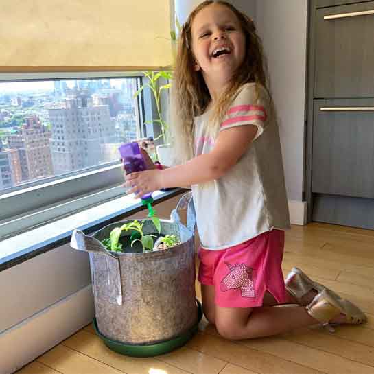 Grow Your Child’s Green-Thumb With This New Mini Garden – No Experience Needed