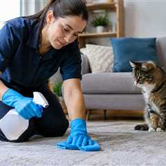 home cleaning
