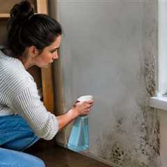 mould